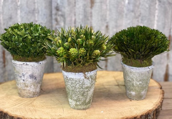 Garden Pots (set of 3) - Click Image to Close